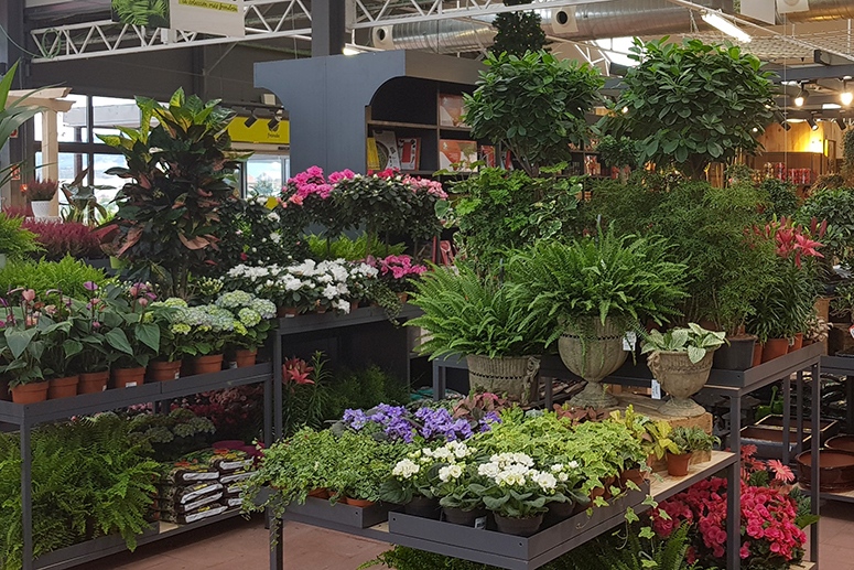 Tienda de Majadahonda
