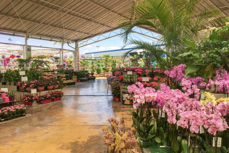 Tienda de Palma